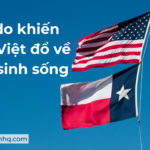 7 mẹo chọn xe ô tô giá tốt ở Mỹ cho người mới sang