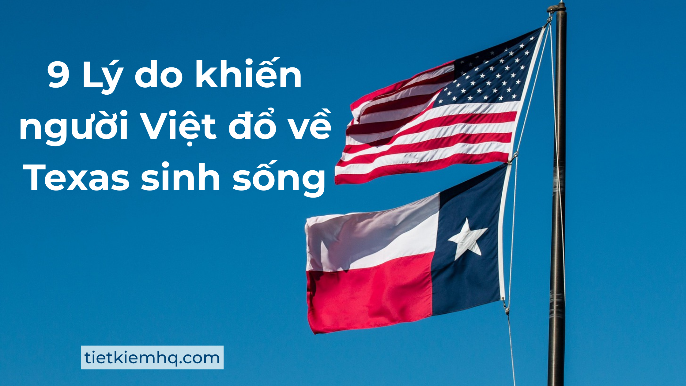 9 Ly do nguoi Viet do ve Texas sinh song